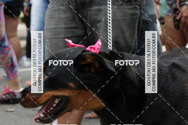 Buy your photos of the event13� C�ominhada - Santos on Fotop