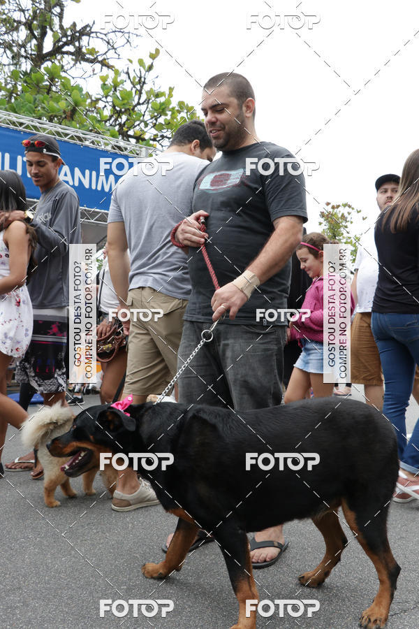 Buy your photos of the event13� C�ominhada - Santos on Fotop