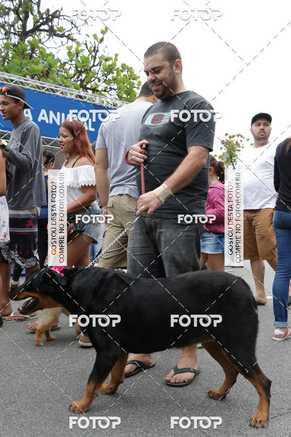 Buy your photos of the event13� C�ominhada - Santos on Fotop