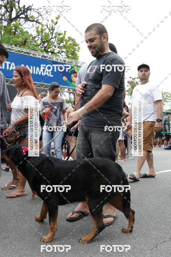Buy your photos of the event13� C�ominhada - Santos on Fotop