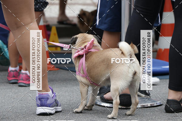 Buy your photos of the event13� C�ominhada - Santos on Fotop