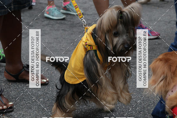 Buy your photos of the event13� C�ominhada - Santos on Fotop