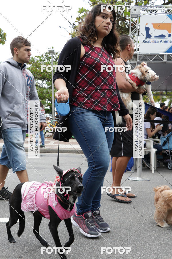 Buy your photos of the event13� C�ominhada - Santos on Fotop