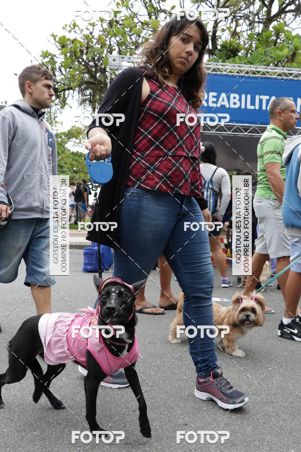 Buy your photos of the event13� C�ominhada - Santos on Fotop