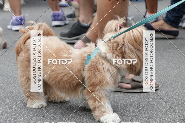 Buy your photos of the event13� C�ominhada - Santos on Fotop