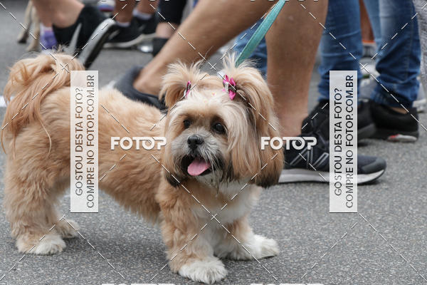 Buy your photos of the event13� C�ominhada - Santos on Fotop