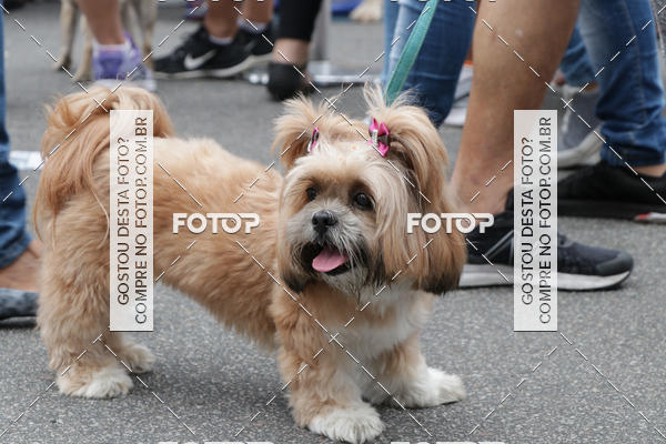 Buy your photos of the event13� C�ominhada - Santos on Fotop