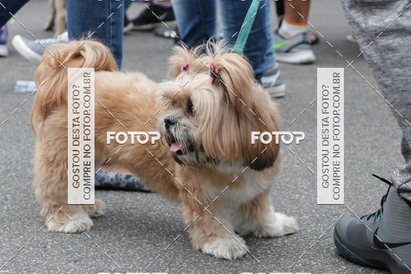 Buy your photos of the event13� C�ominhada - Santos on Fotop