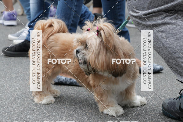 Buy your photos of the event13� C�ominhada - Santos on Fotop