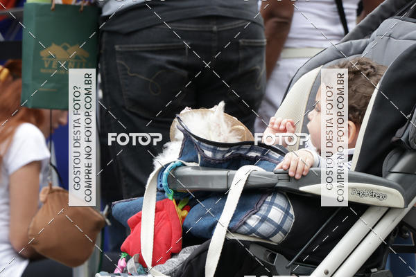 Buy your photos of the event13� C�ominhada - Santos on Fotop