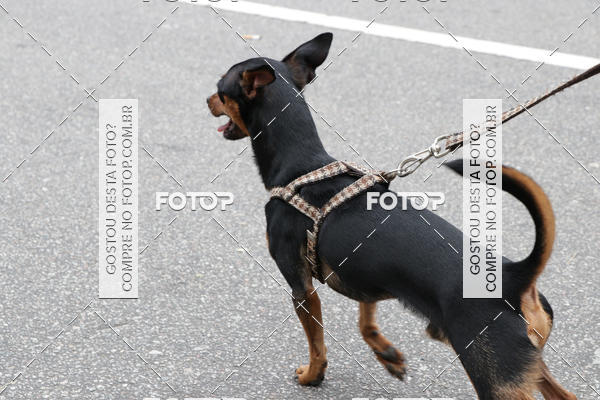 Buy your photos of the event13� C�ominhada - Santos on Fotop