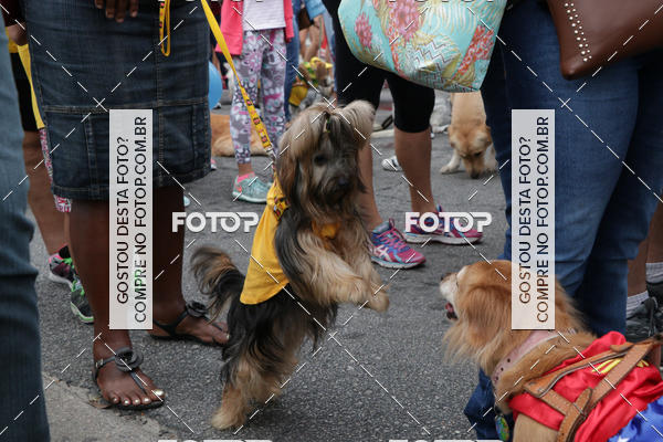 Buy your photos of the event13� C�ominhada - Santos on Fotop