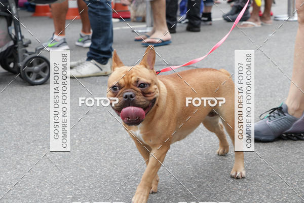Buy your photos of the event13� C�ominhada - Santos on Fotop