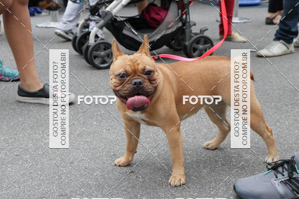 Buy your photos of the event13� C�ominhada - Santos on Fotop