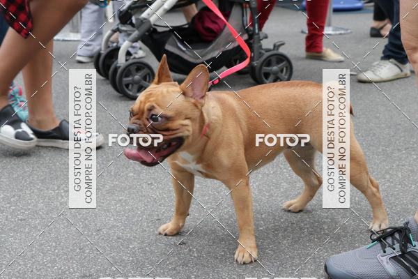 Buy your photos of the event13� C�ominhada - Santos on Fotop