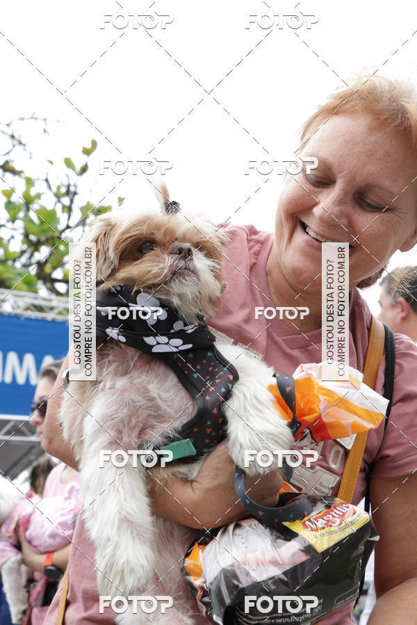 Buy your photos of the event13� C�ominhada - Santos on Fotop