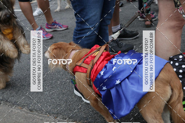 Buy your photos of the event13� C�ominhada - Santos on Fotop