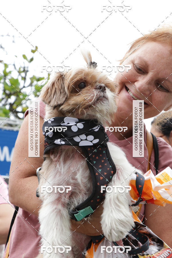 Buy your photos of the event13� C�ominhada - Santos on Fotop