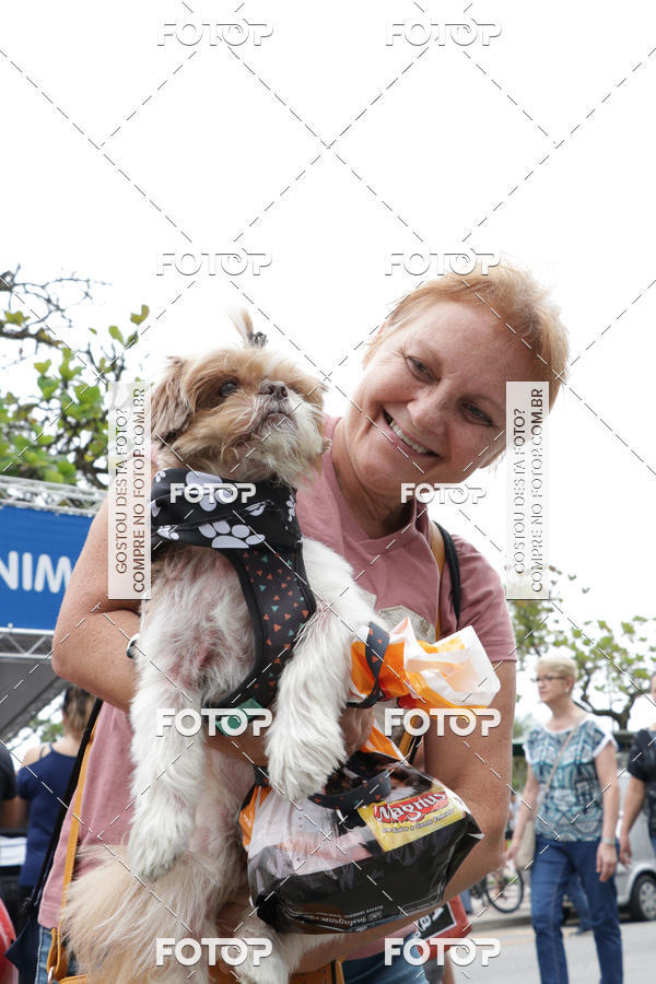 Buy your photos of the event13� C�ominhada - Santos on Fotop