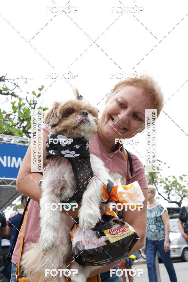 Buy your photos of the event13� C�ominhada - Santos on Fotop