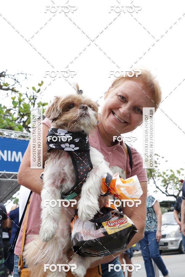 Buy your photos of the event13� C�ominhada - Santos on Fotop