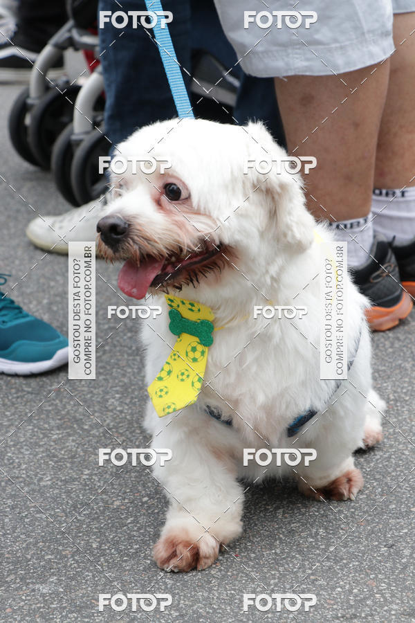 Buy your photos of the event13� C�ominhada - Santos on Fotop
