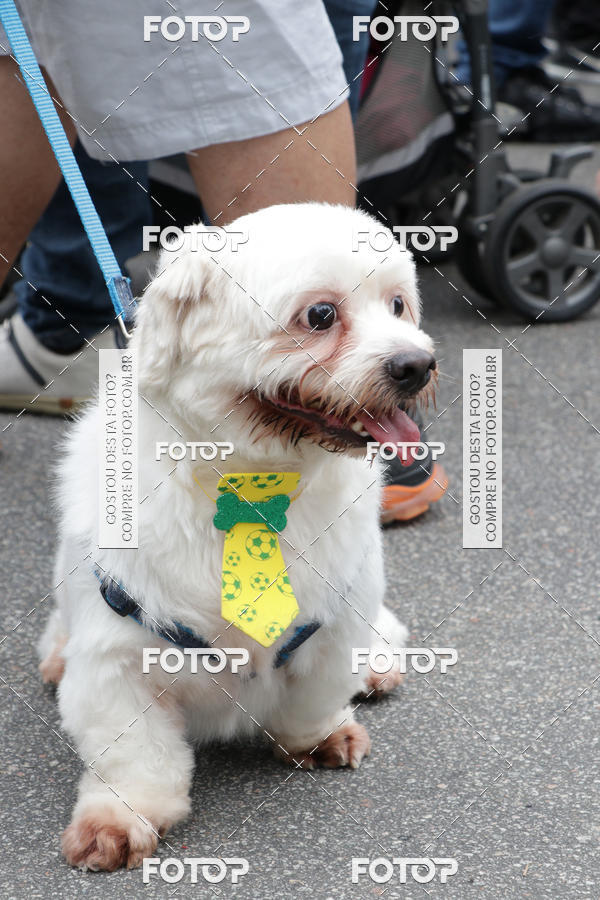 Buy your photos of the event13� C�ominhada - Santos on Fotop