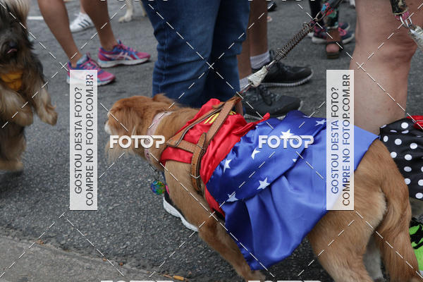 Buy your photos of the event13� C�ominhada - Santos on Fotop