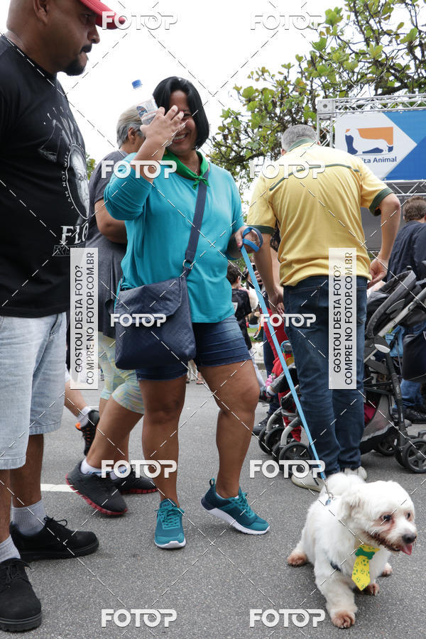 Buy your photos of the event13� C�ominhada - Santos on Fotop