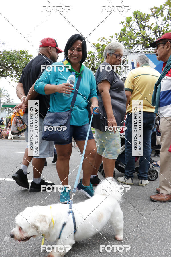 Buy your photos of the event13� C�ominhada - Santos on Fotop