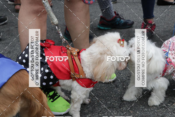 Buy your photos of the event13� C�ominhada - Santos on Fotop