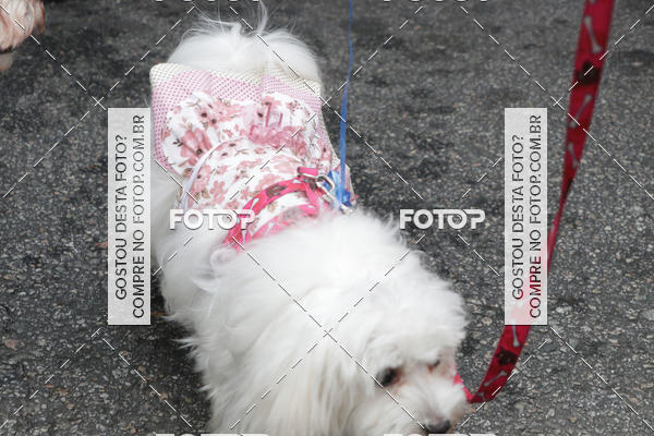 Buy your photos of the event13� C�ominhada - Santos on Fotop