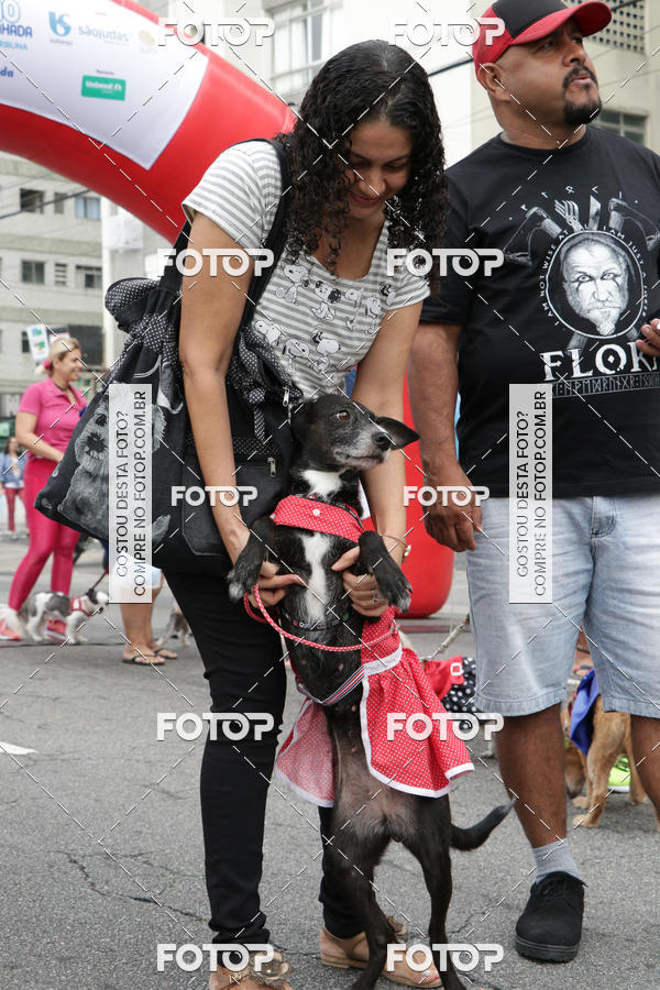 Buy your photos of the event13 Cominhada - Santos on Fotop