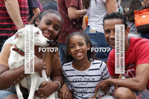 Buy your photos of the event13� C�ominhada - Santos on Fotop