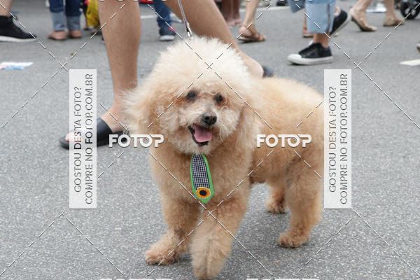 Buy your photos of the event13� C�ominhada - Santos on Fotop