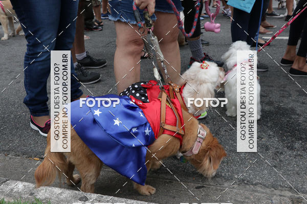 Buy your photos of the event13� C�ominhada - Santos on Fotop