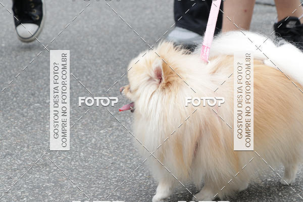 Buy your photos of the event13� C�ominhada - Santos on Fotop