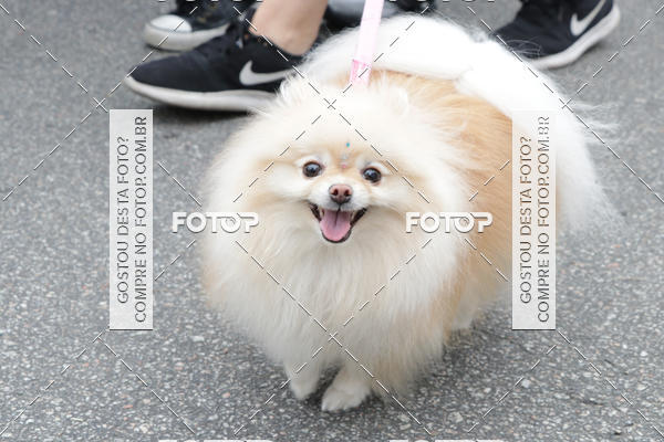 Buy your photos of the event13� C�ominhada - Santos on Fotop