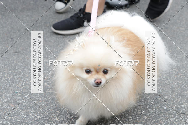 Buy your photos of the event13� C�ominhada - Santos on Fotop