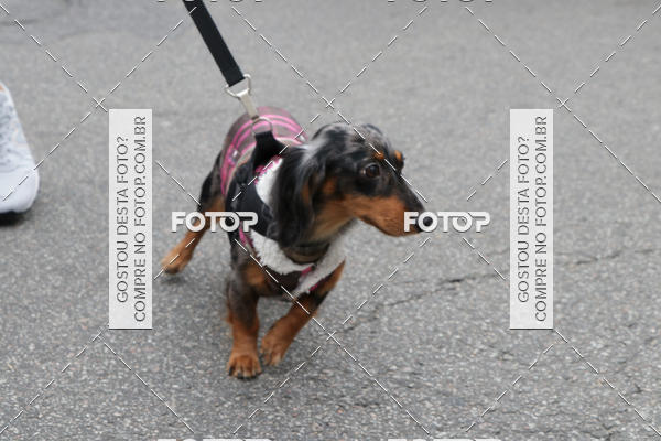 Buy your photos of the event13� C�ominhada - Santos on Fotop