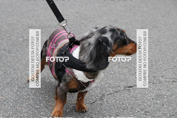 Buy your photos of the event13� C�ominhada - Santos on Fotop