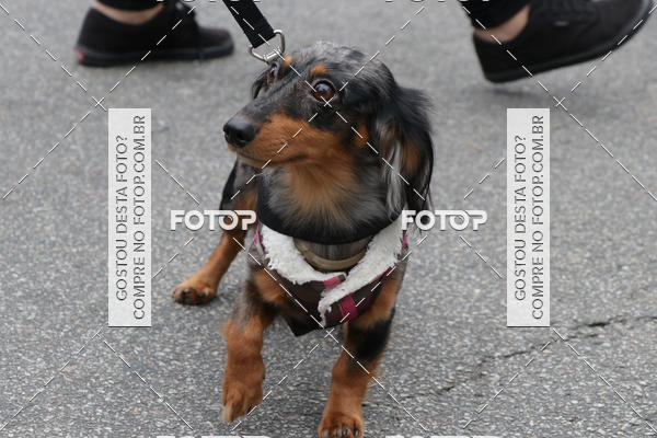 Buy your photos of the event13� C�ominhada - Santos on Fotop