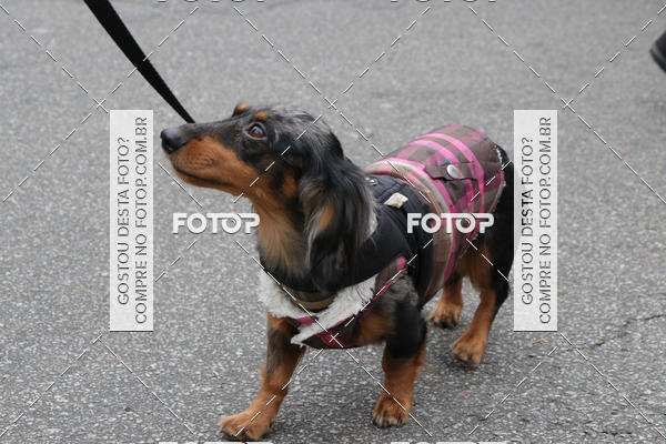 Buy your photos of the event13� C�ominhada - Santos on Fotop