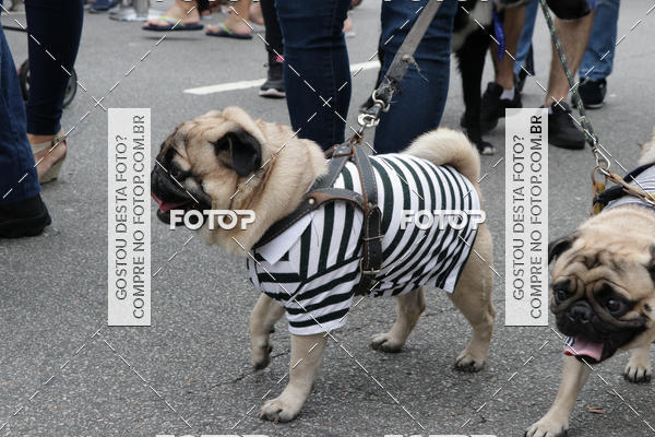 Buy your photos of the event13� C�ominhada - Santos on Fotop