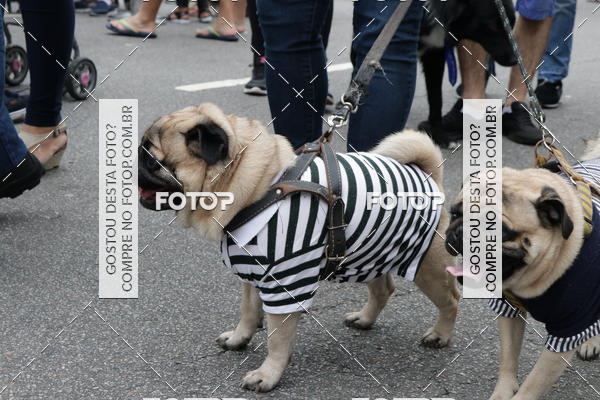 Buy your photos of the event13� C�ominhada - Santos on Fotop