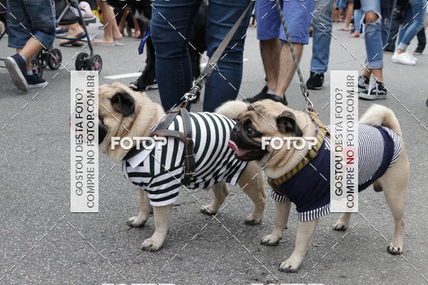 Buy your photos of the event13� C�ominhada - Santos on Fotop