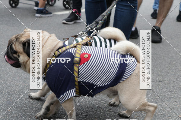 Buy your photos of the event13� C�ominhada - Santos on Fotop