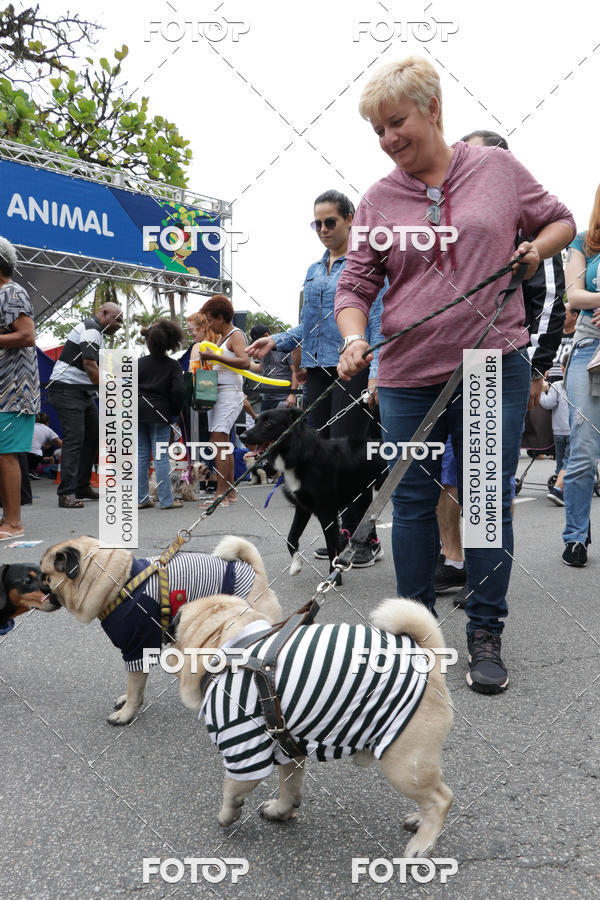 Buy your photos of the event13� C�ominhada - Santos on Fotop