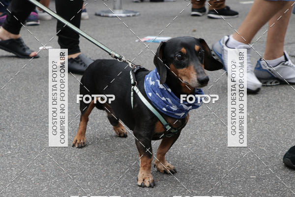 Buy your photos of the event13� C�ominhada - Santos on Fotop