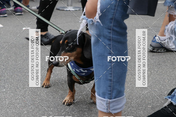 Buy your photos of the event13� C�ominhada - Santos on Fotop